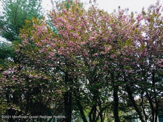 41 Friendship Road, Howell, NJ 07731