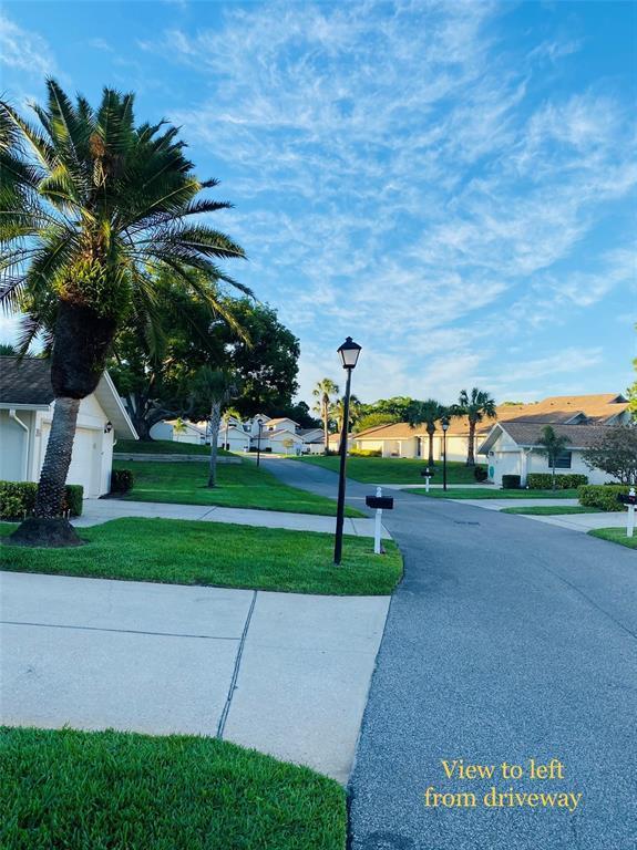 492 Lakeview Drive, Palm Harbor, FL 34683