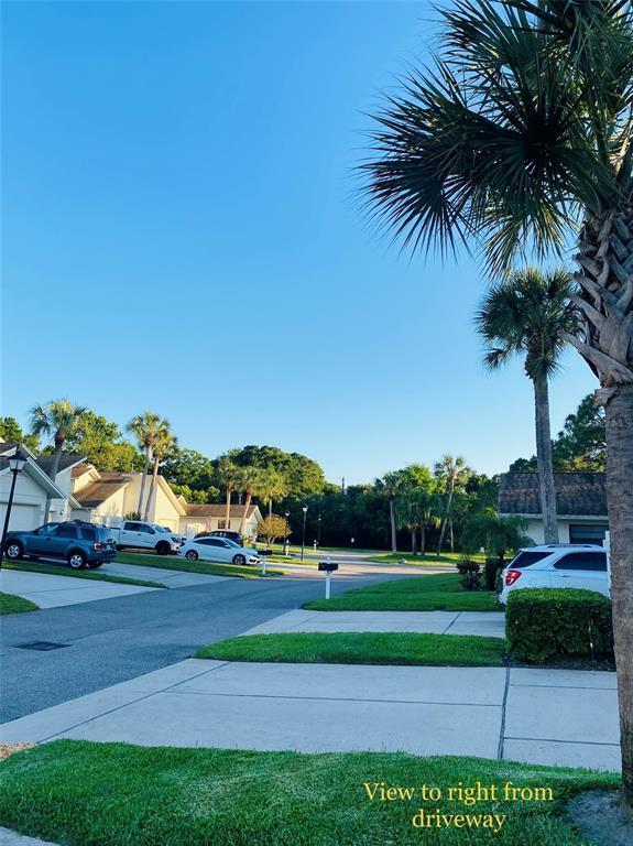 492 Lakeview Drive, Palm Harbor, FL 34683