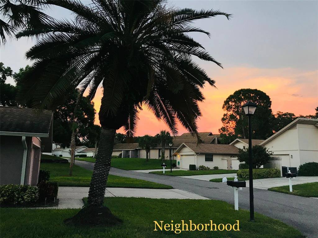 492 Lakeview Drive, Palm Harbor, FL 34683