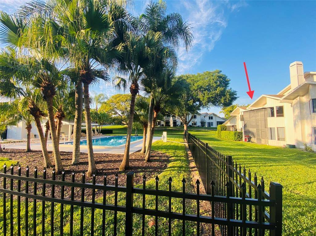 492 Lakeview Drive, Palm Harbor, FL 34683