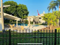 492 Lakeview Drive, Palm Harbor, FL 34683