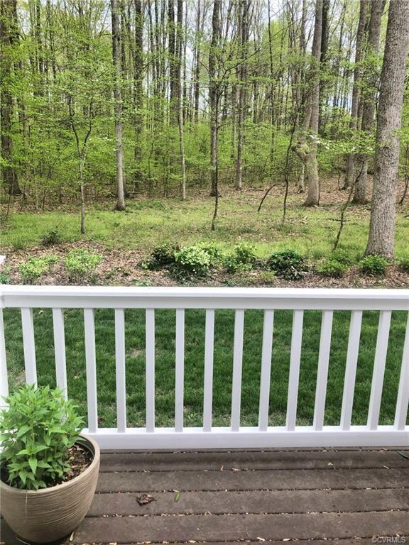 13998 Taylors Overlook Court, Montpelier, VA 23192