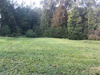 105 Carson Farms Drive East, Burlington, NC 27215