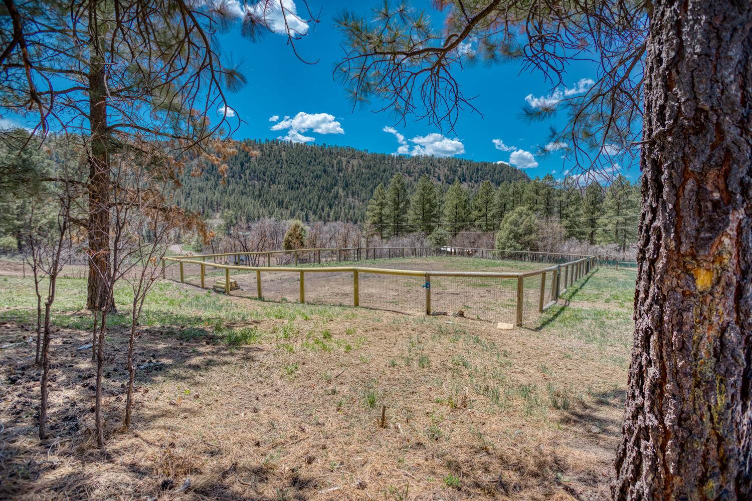 1290 Ute Drive, Pagosa Springs, CO 81147