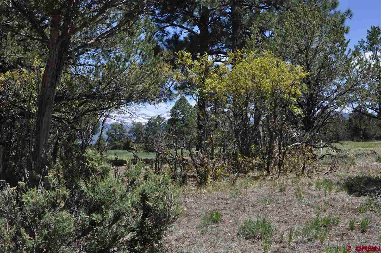 1725 Marmot Drive, Ridgway, CO 81432