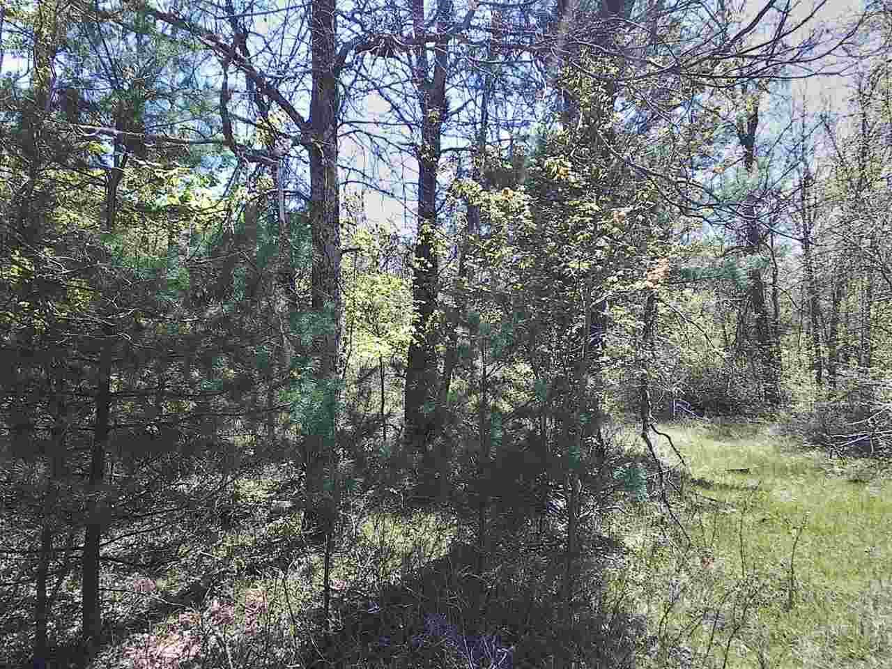 15.01 Acres COUNTY ROAD F, Necedah, WI 54646