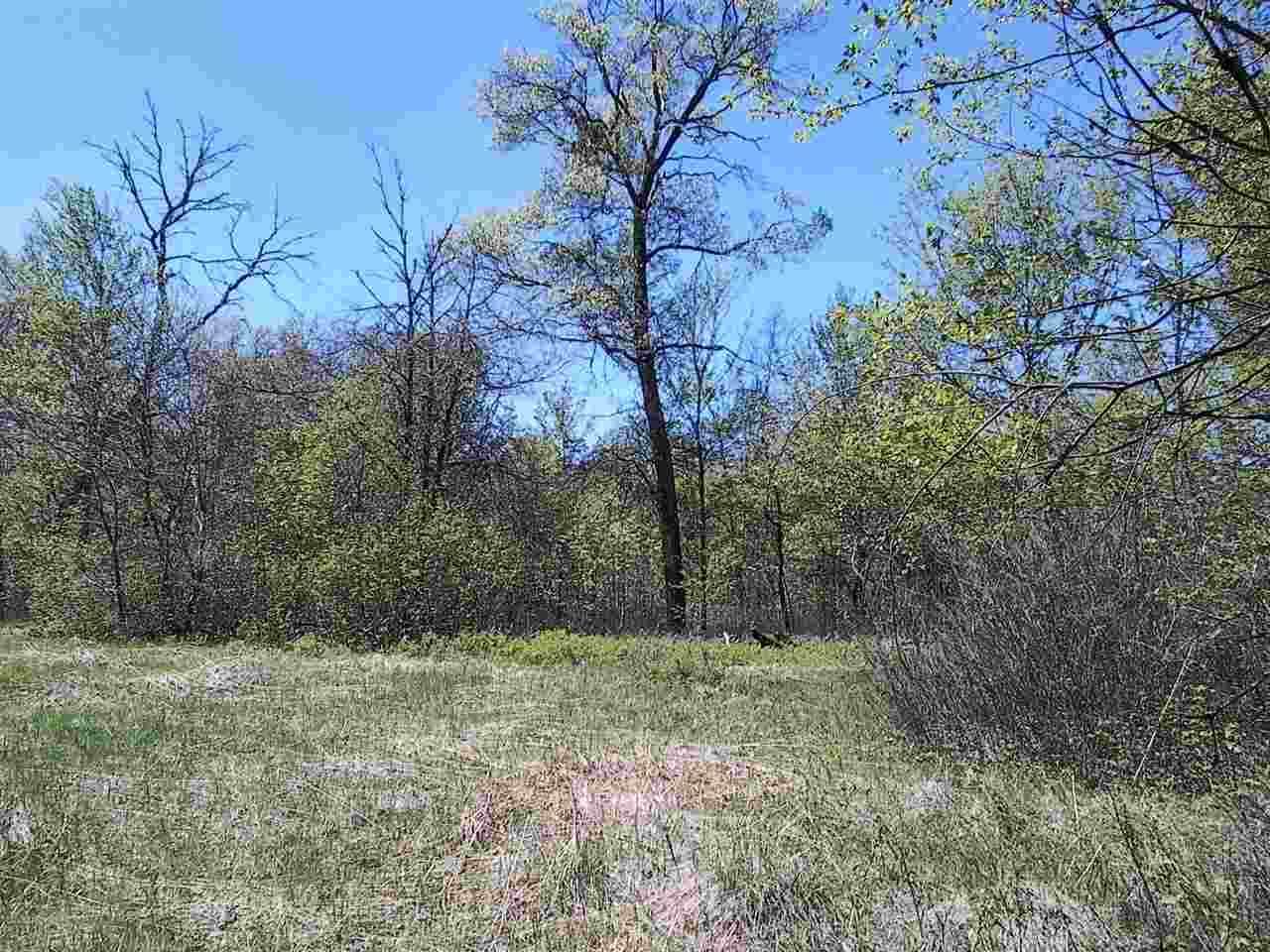 15.01 Acres COUNTY ROAD F, Necedah, WI 54646