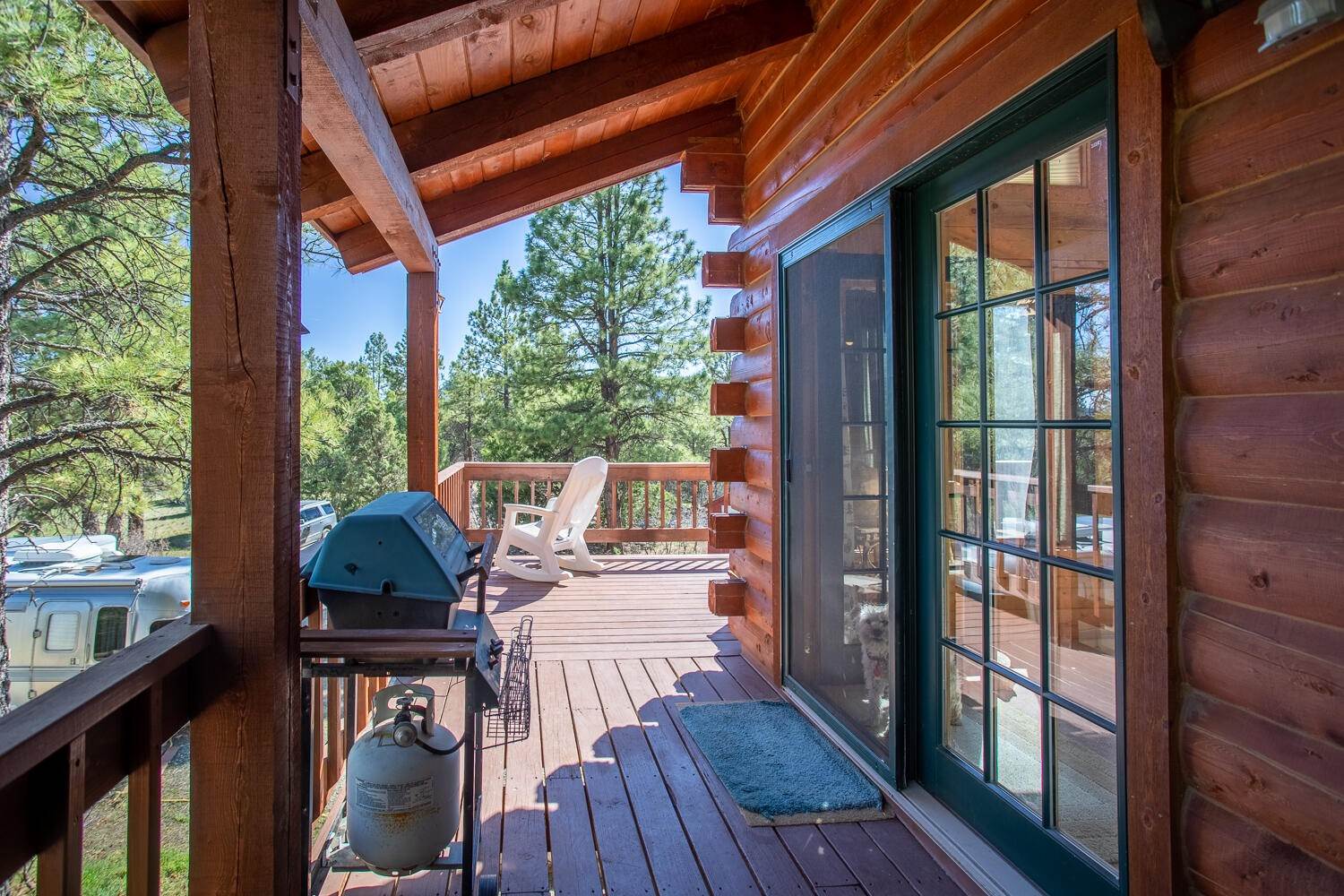 168 Buckeye Place, Pagosa Springs, CO 81147