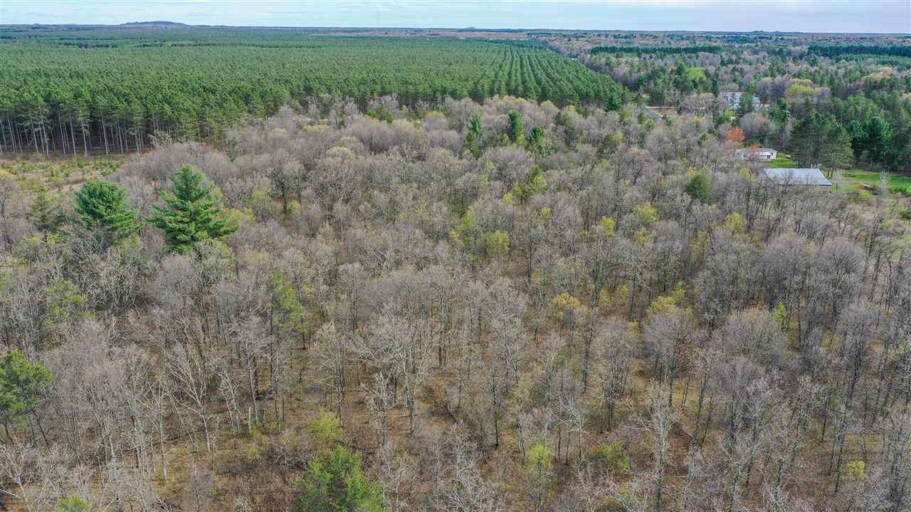 5 acres ADAMS AVENUE, Nekoosa, WI 54457