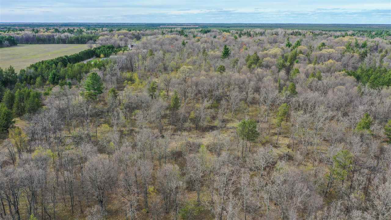 5 acres ADAMS AVENUE, Nekoosa, WI 54457