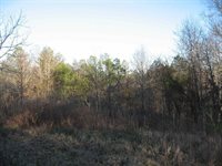 0 Pritchard Rd, Russellville, AL 35653