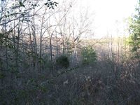 0 Pritchard Rd, Russellville, AL 35653