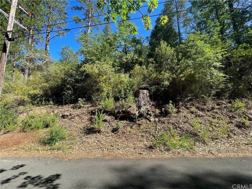 10642 Foothill Road, Loch Lomond, CA 95461