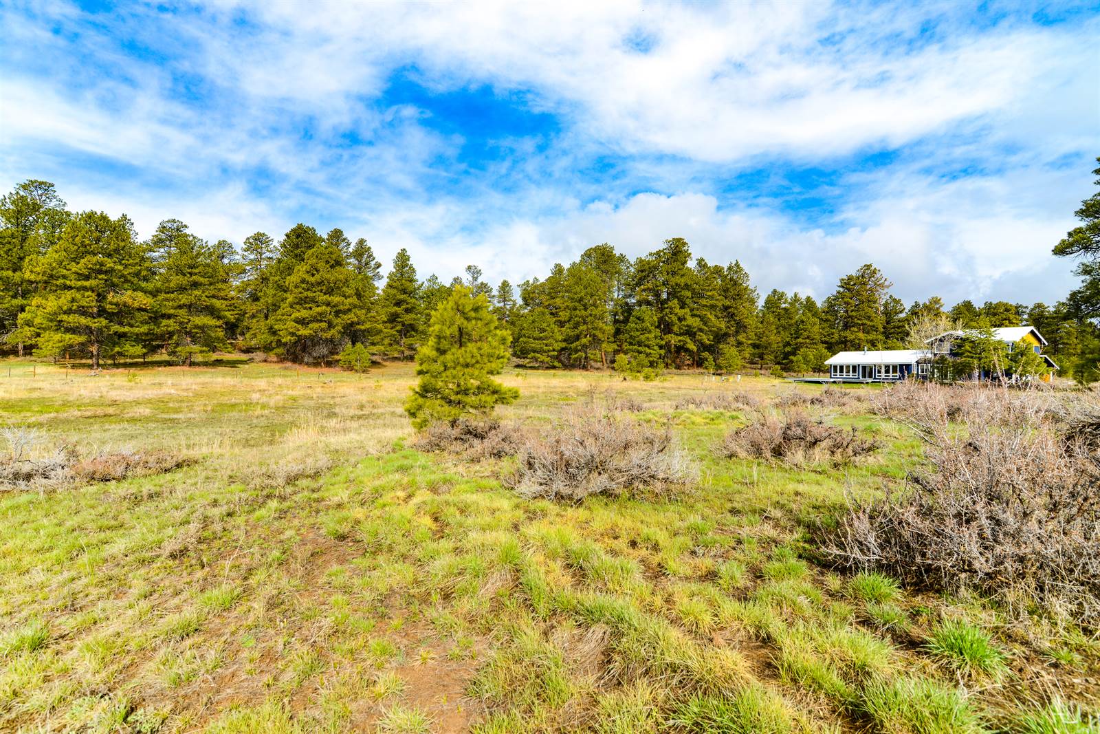 43 Marble Court, Pagosa Springs, CO 81147