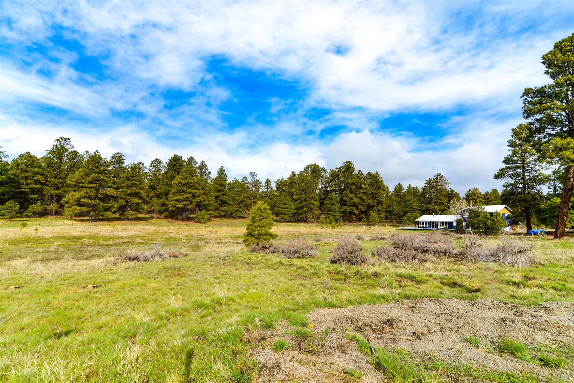 43 Marble Court, Pagosa Springs, CO 81147