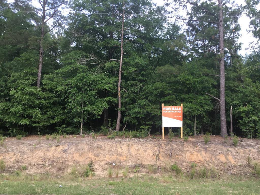 1380 Bethcar Church Road, Wagener, SC 29164