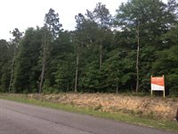 1380 Bethcar Church Road, Wagener, SC 29164