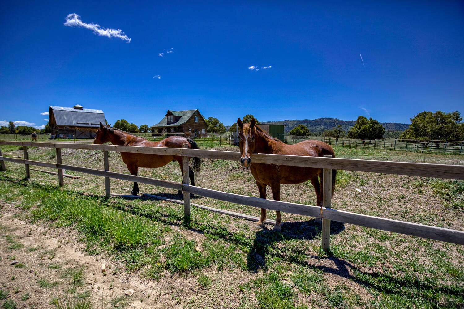 4445 County Road 700, Pagosa Springs, CO 81147