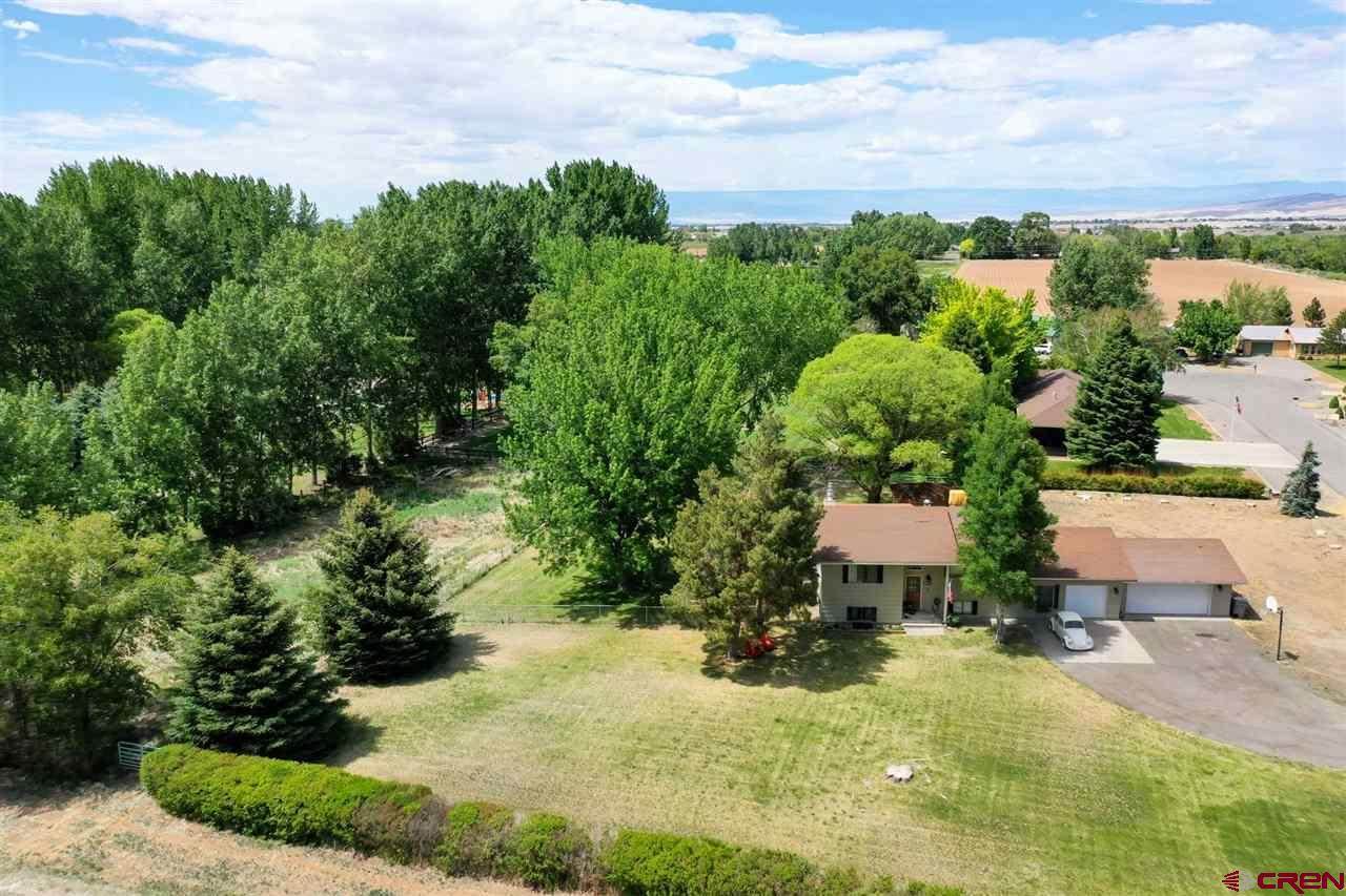 15473 6220 Court, Montrose, CO 81403