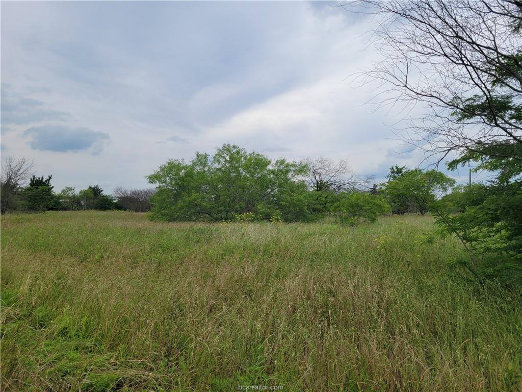 5988 Dick Elliott Road, Bryan, TX 77808