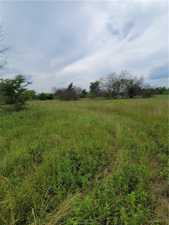 5988 Dick Elliott Road, Bryan, TX 77808