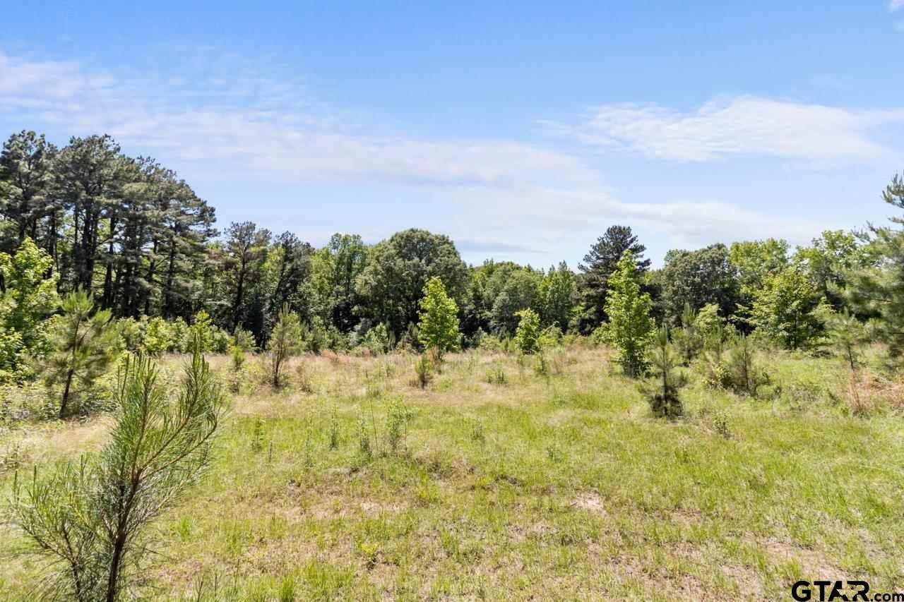 TBD 10 acres W Peninsula RD, Whitehouse, TX 75791