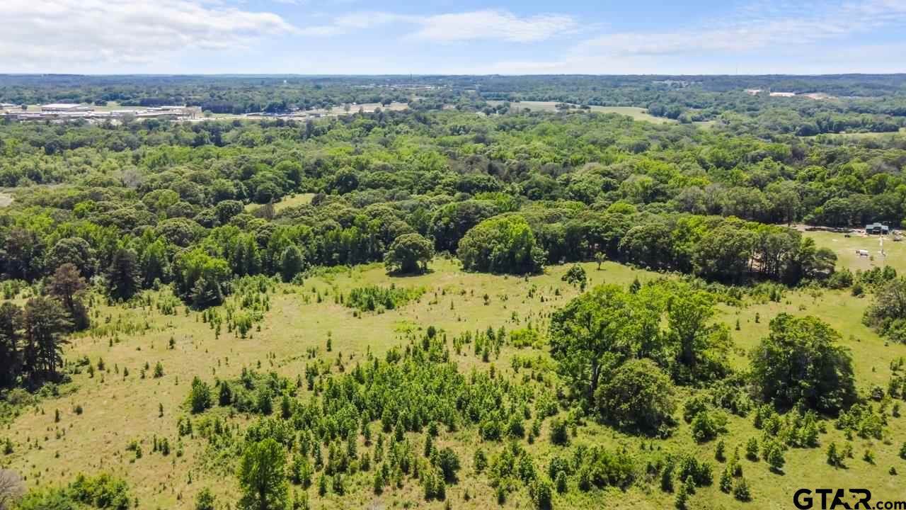 TBD 10 acres W Peninsula RD, Whitehouse, TX 75791