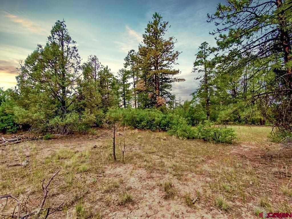 193 Allison Place, Pagosa Springs, CO 81147