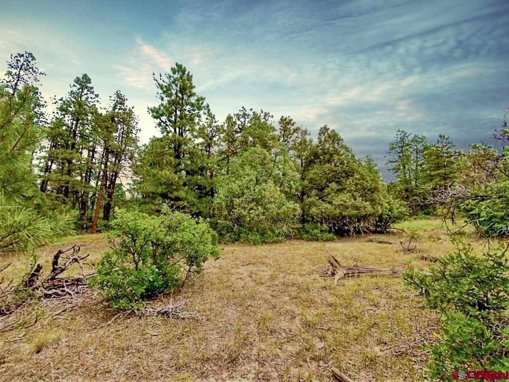 193 Allison Place, Pagosa Springs, CO 81147