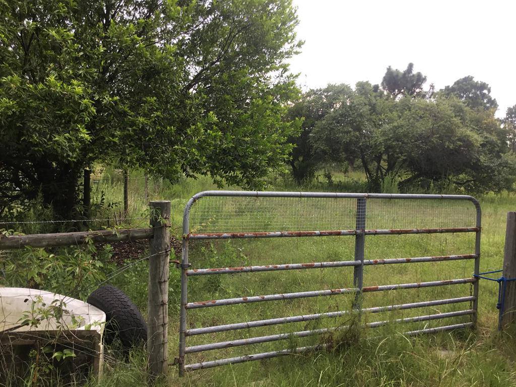 1004 Kedron Church Road, Aiken, SC 29805