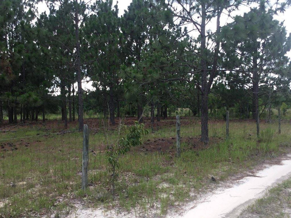 1004 Kedron Church Road, Aiken, SC 29805