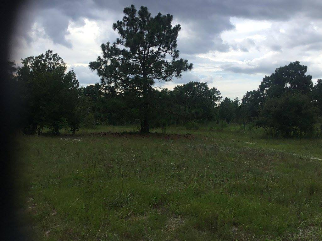 1004 Kedron Church Road, Aiken, SC 29805