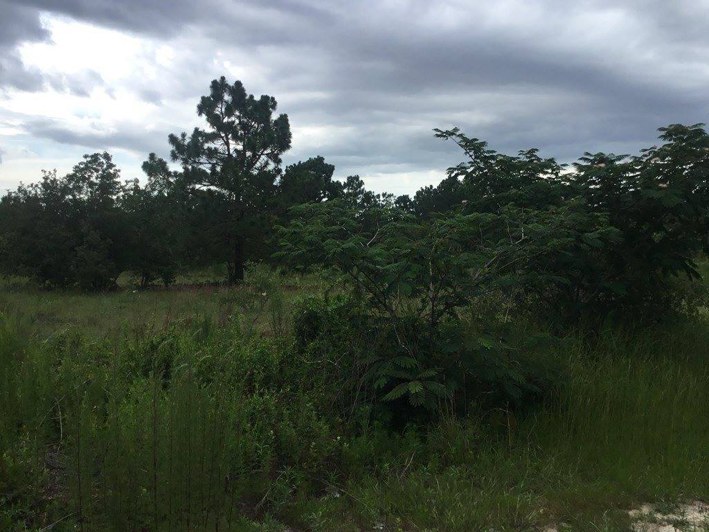 1004 Kedron Church Road, Aiken, SC 29805