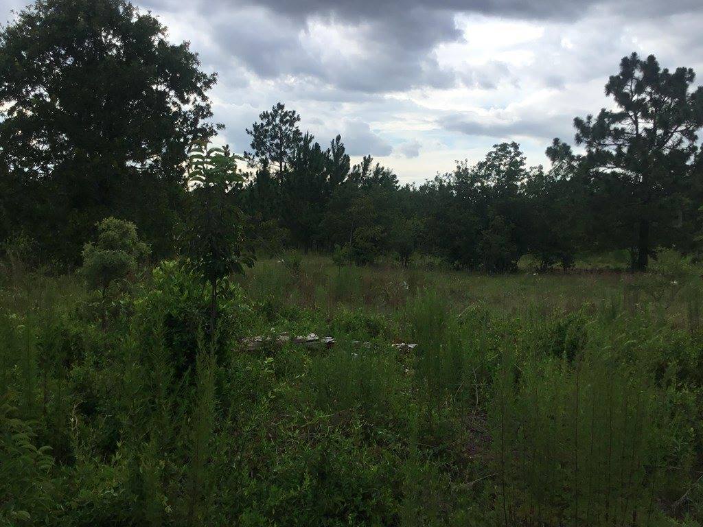 1004 Kedron Church Road, Aiken, SC 29805