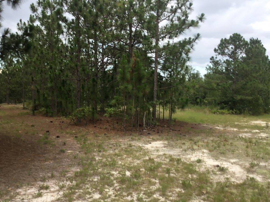 1004 Kedron Church Road, Aiken, SC 29805