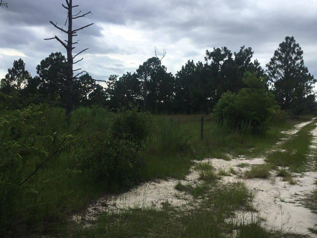 1004 Kedron Church Road, Aiken, SC 29805