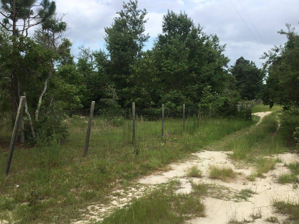 1004 Kedron Church Road, Aiken, SC 29805