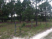 1004 Kedron Church Road, Aiken, SC 29805