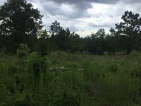 1004 Kedron Church Road, Aiken, SC 29805