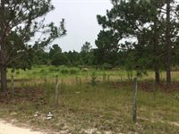 1004 Kedron Church Road, Aiken, SC 29805