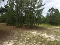 1004 Kedron Church Road, Aiken, SC 29805