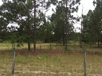 1004 Kedron Church Road, Aiken, SC 29805