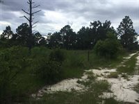 1004 Kedron Church Road, Aiken, SC 29805