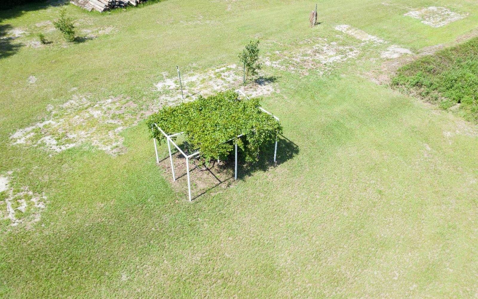 6426 203rd Place, Live Oak, FL 32060