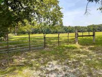 Tbd Cr 4102, New Boston, TX 75570