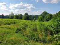 14455 Clay Pike Road, Senecaville, OH 43780