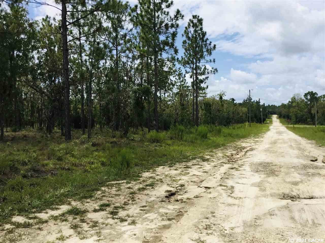 291 NE 131 Avenue, Williston, FL 32696