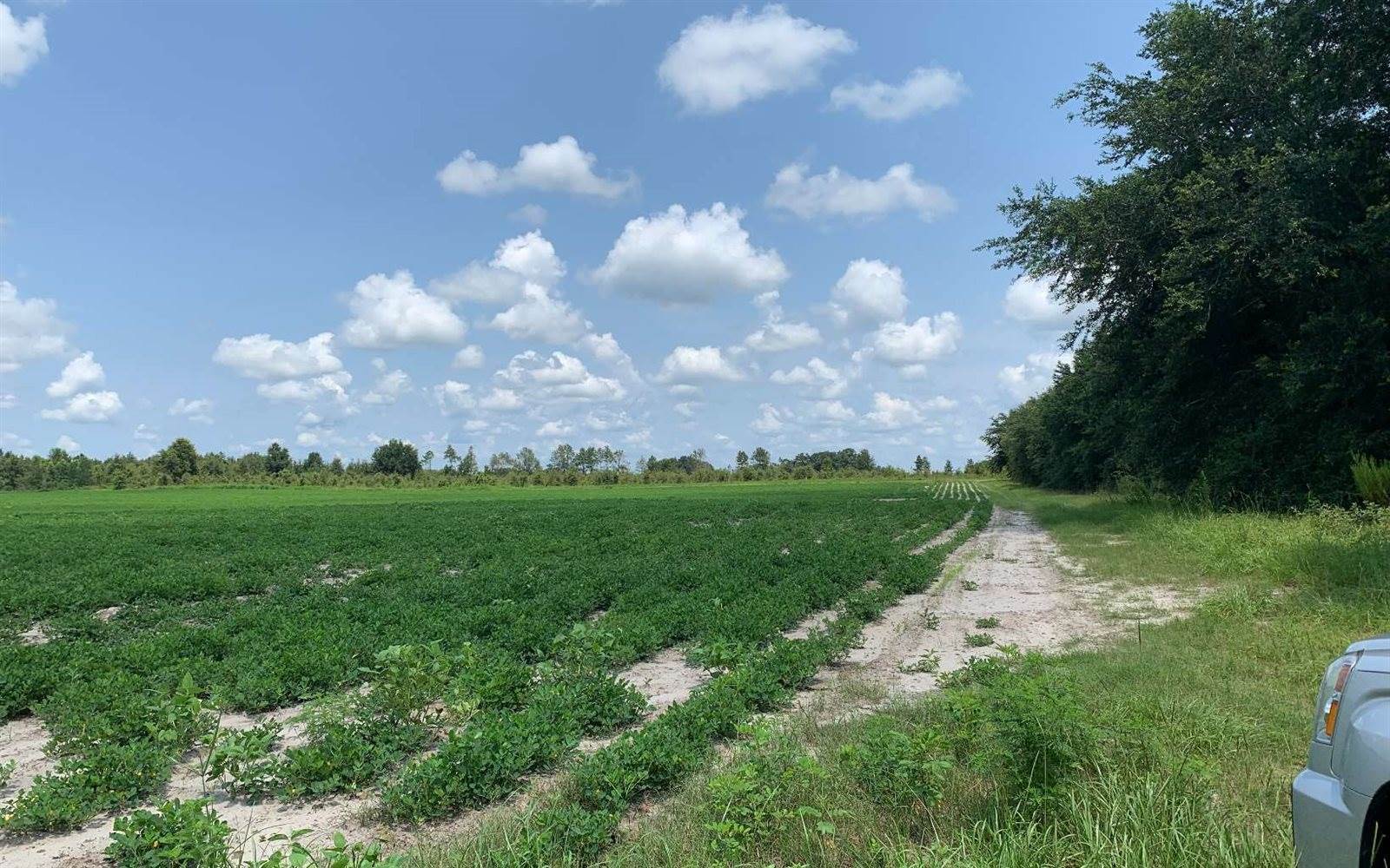 TBD West 167th Road, Live Oak, FL 32060