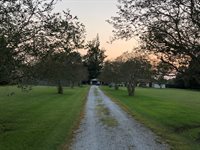 13085 L Landry Rd, Gonzales, LA 70737